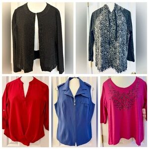 Dress Barn & More 5-Pc. Bundle Layering Tops, Sz M, EUC, Value = $310